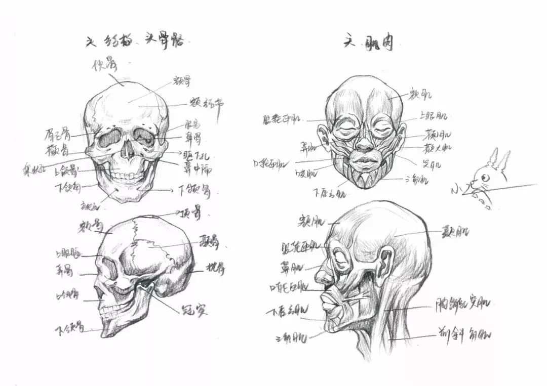 鄭州美術(shù)培訓(xùn)班
